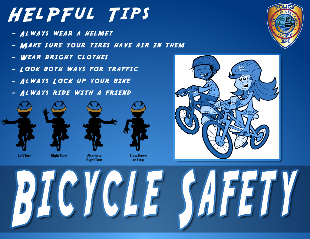 Bike-Safety-Liner